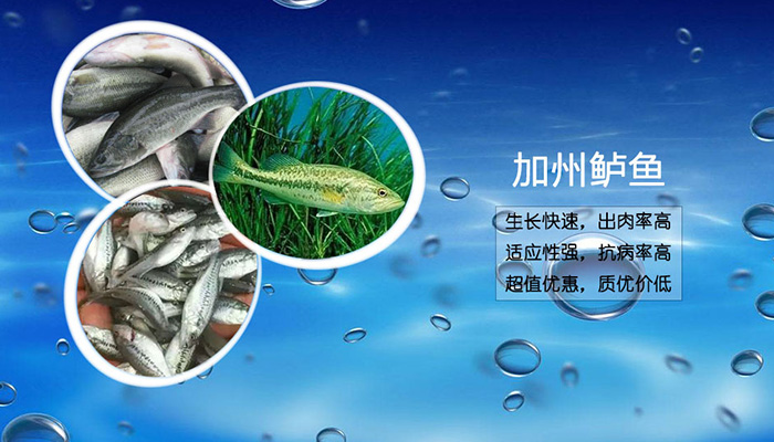 品质，为你<br>行稳致远，精益求精