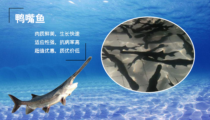 创新，为你<br>开拓进取，探索未来