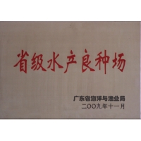 公司荣誉
